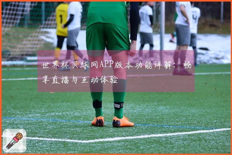 世界杯买球网APP版本功能详解：畅享直播与互动体验