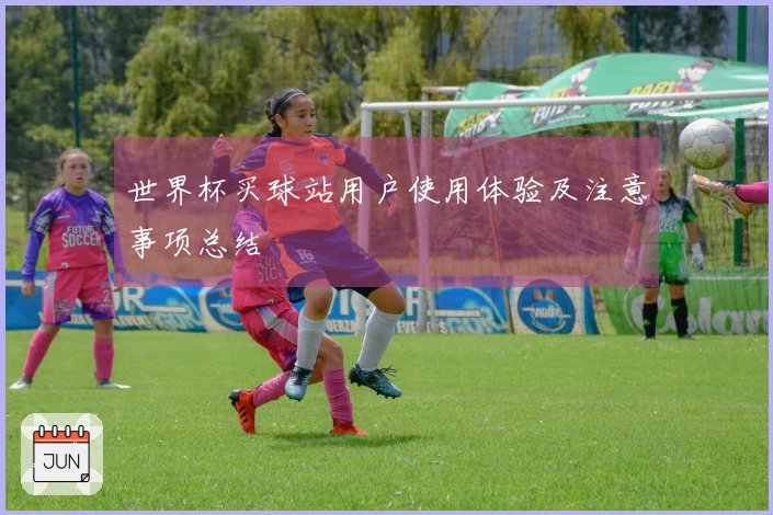 世界杯买球站用户使用体验及注意事项总结
