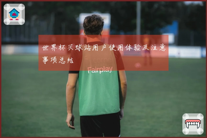 世界杯买球站用户使用体验及注意事项总结